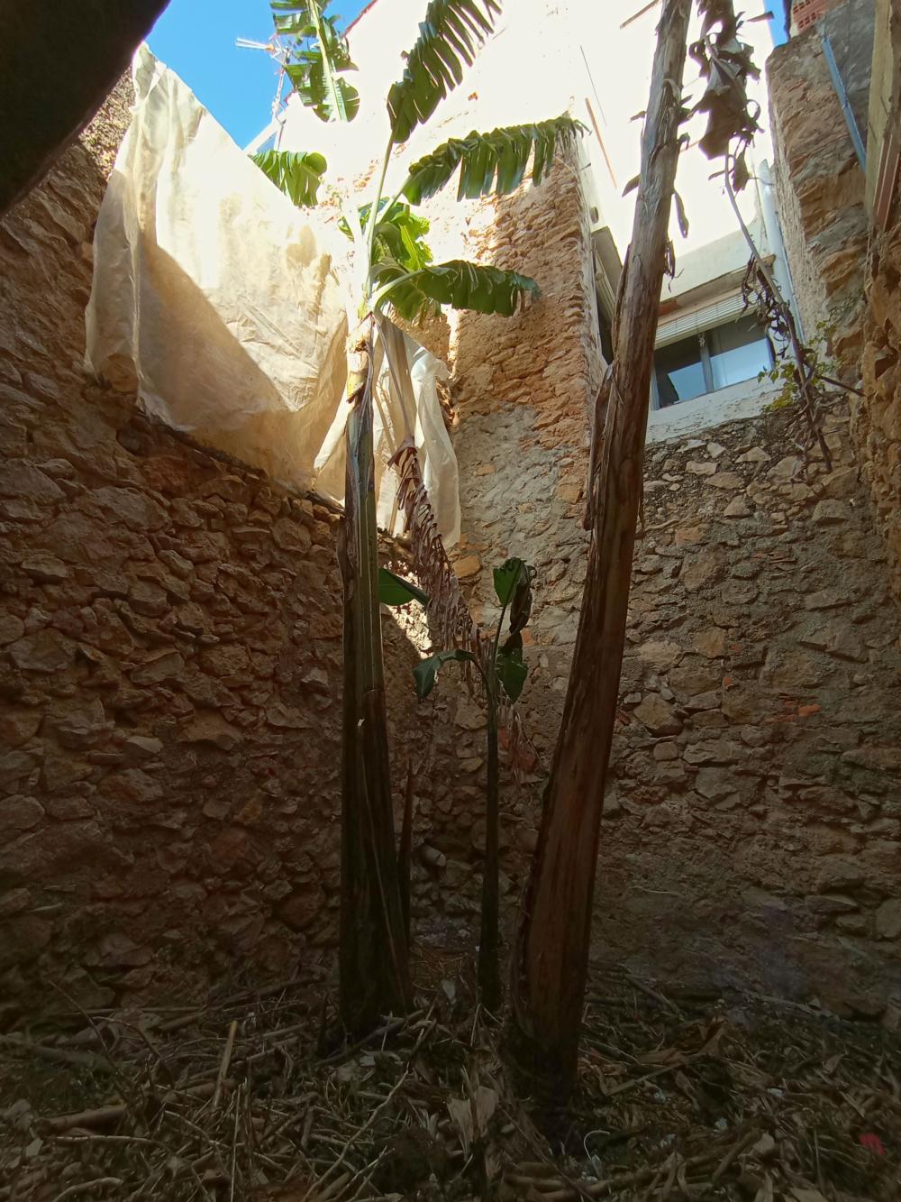  en venta casa Alcanar Montsià 7