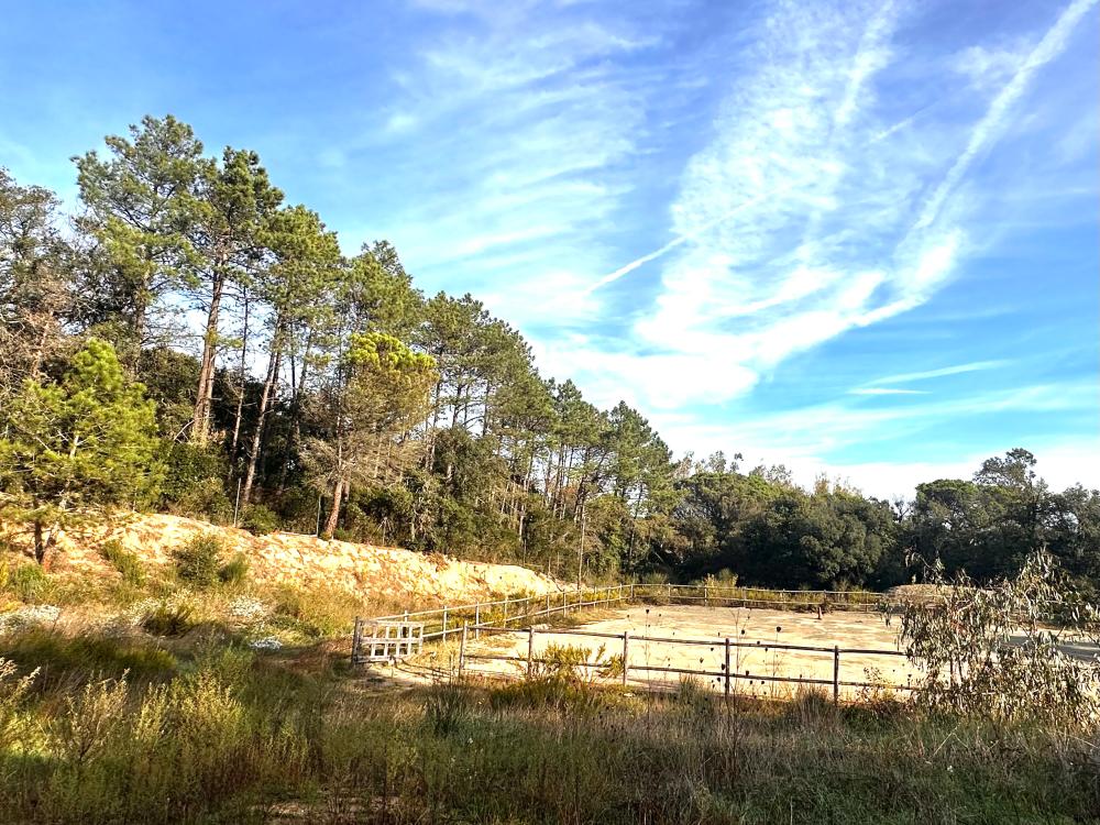  en venta finca rústica Condado De Jaruco Selva 1
