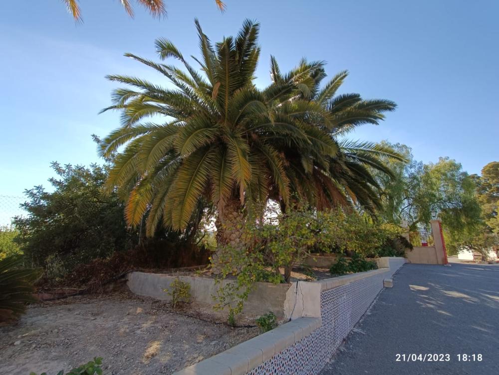  en venta chalet Jijona Alacantí 38