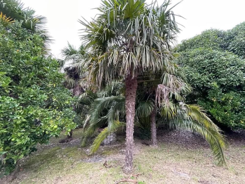  en venta casa A Lama Pontevedra 30