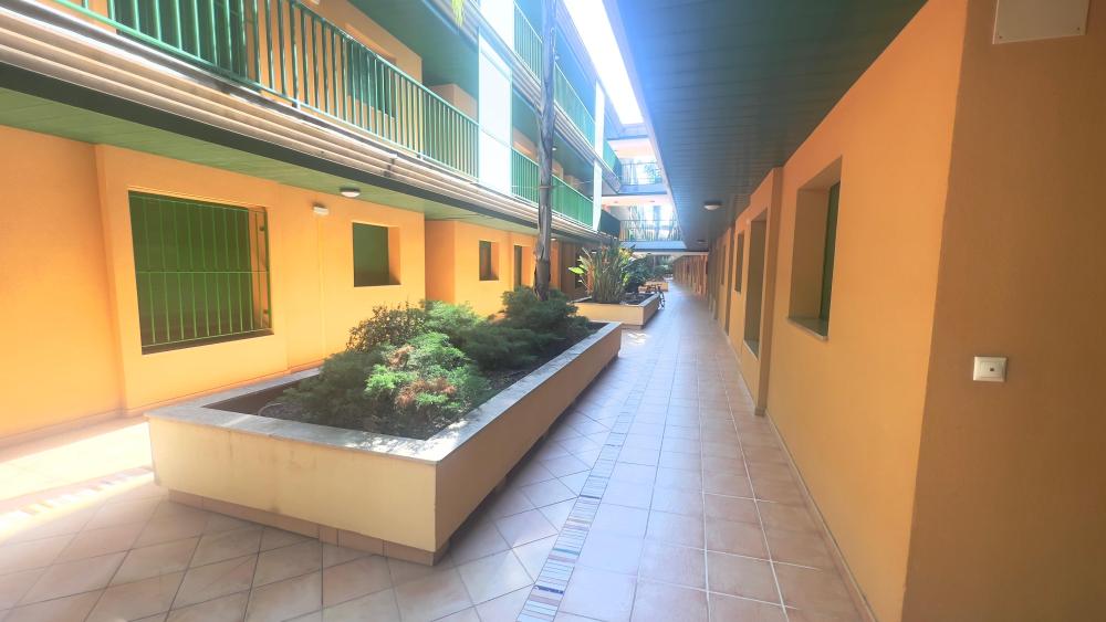  en venta apartamento Eucaliptus Montsià 30