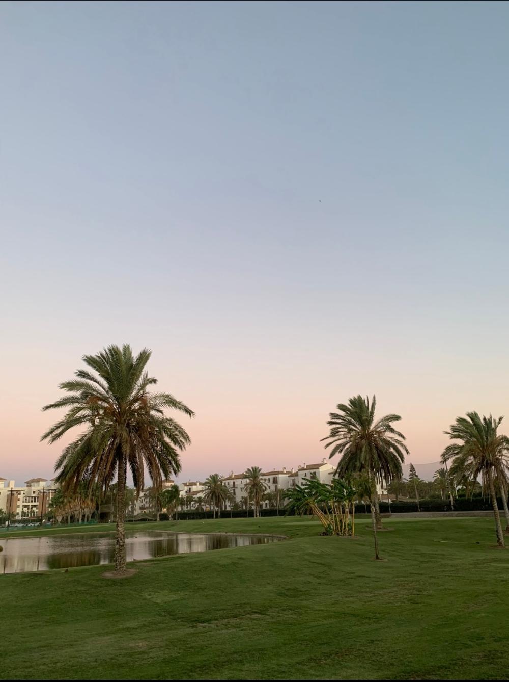  en venta apartamento Playa Granada Costa Tropical 1