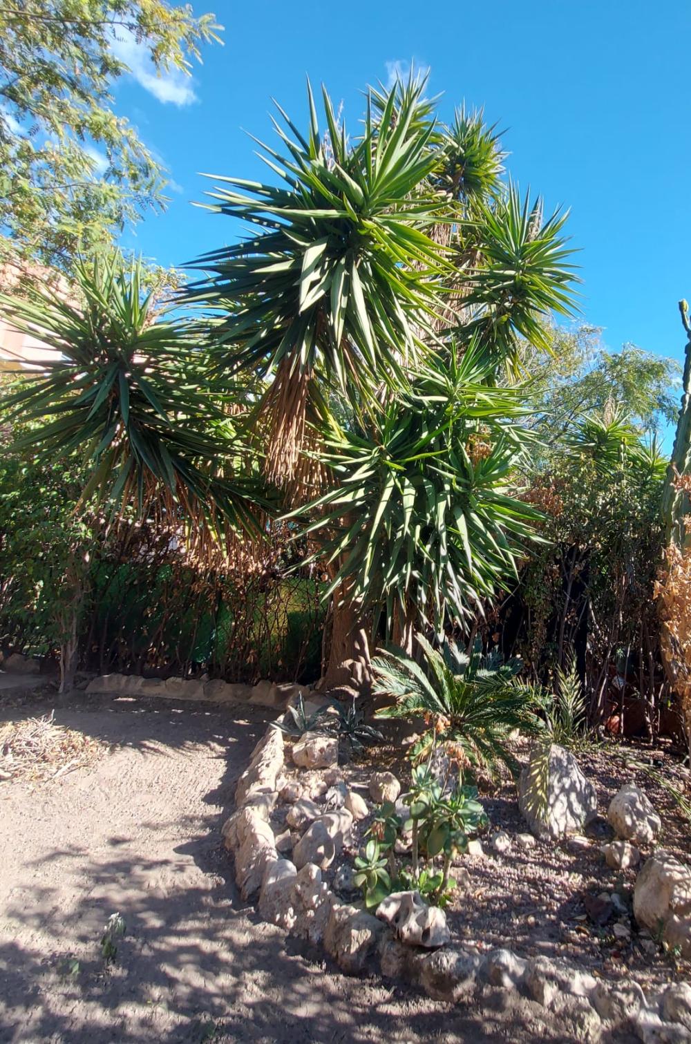  en venta pareado Sant Joan D'alacant Alacantí 9