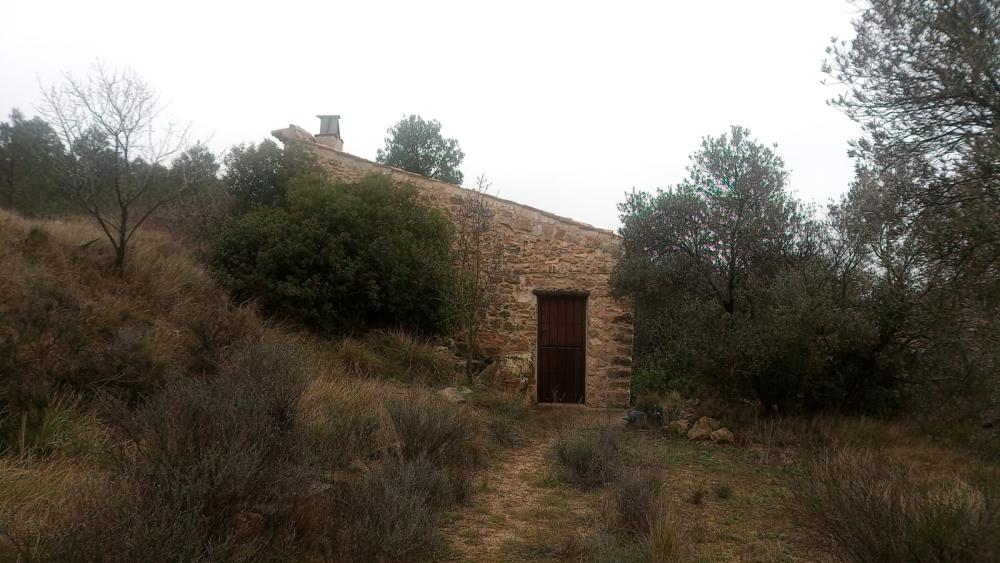  en venta finca rústica Gandesa Terra Alta 8