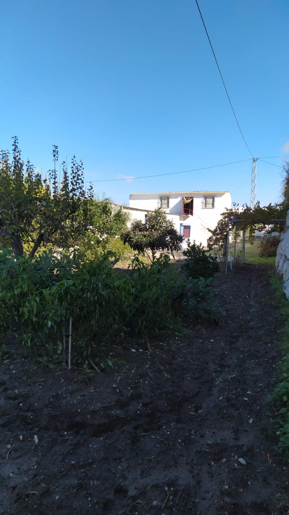  en venta finca rústica Coín Valle Del Guadalhorce 6
