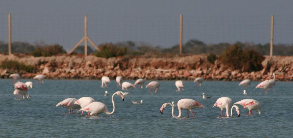  en venta apartamento La Manga Del Mar Menor Campo De Cartagena 35