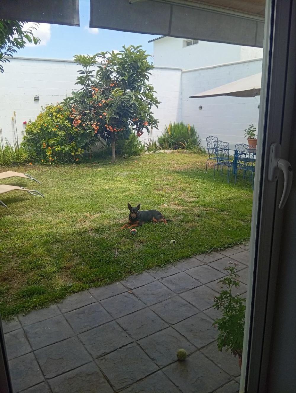 en venta chalet Bollullos De La Mitación Aljarafe 2