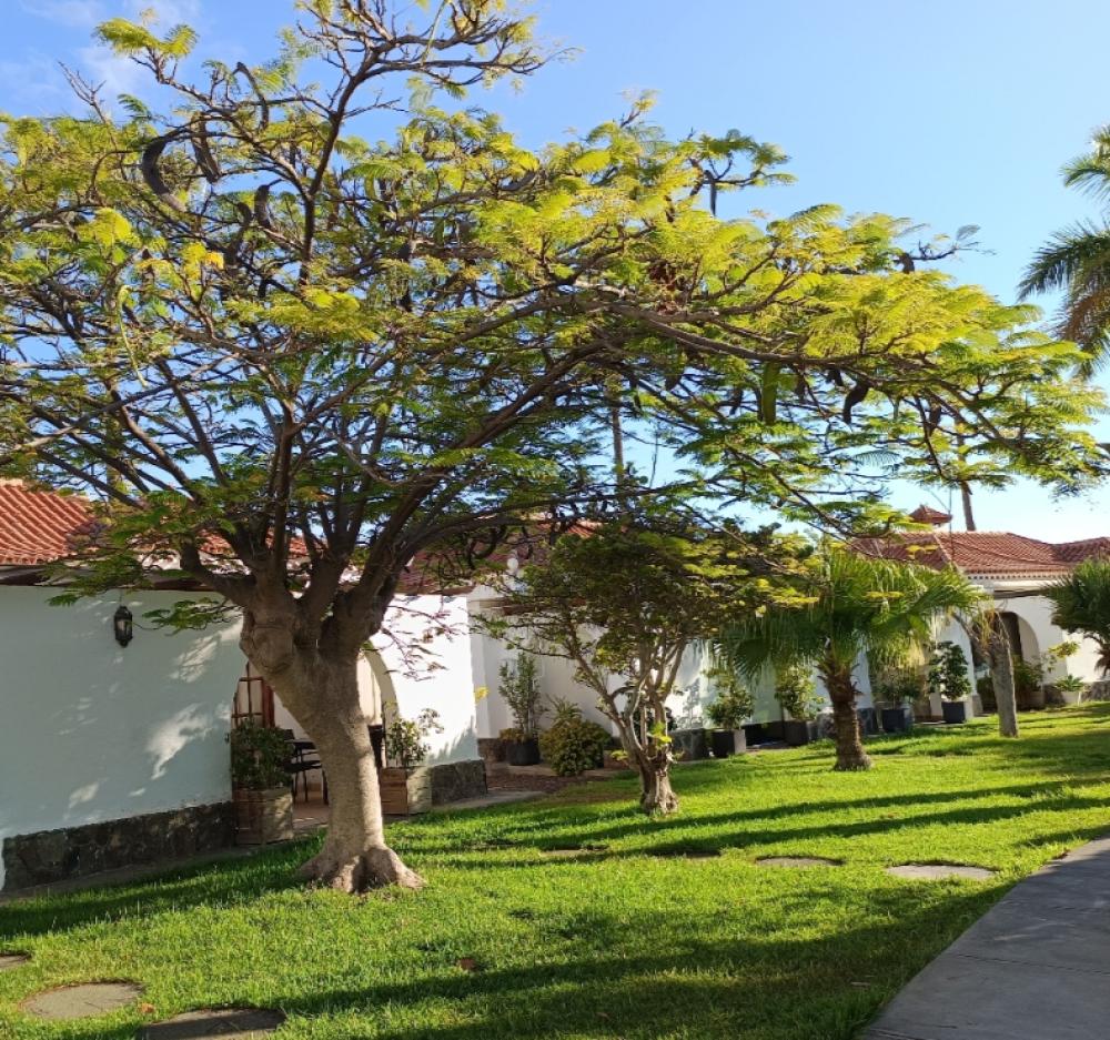  en venta pareado Maspalomas Área Sur 5
