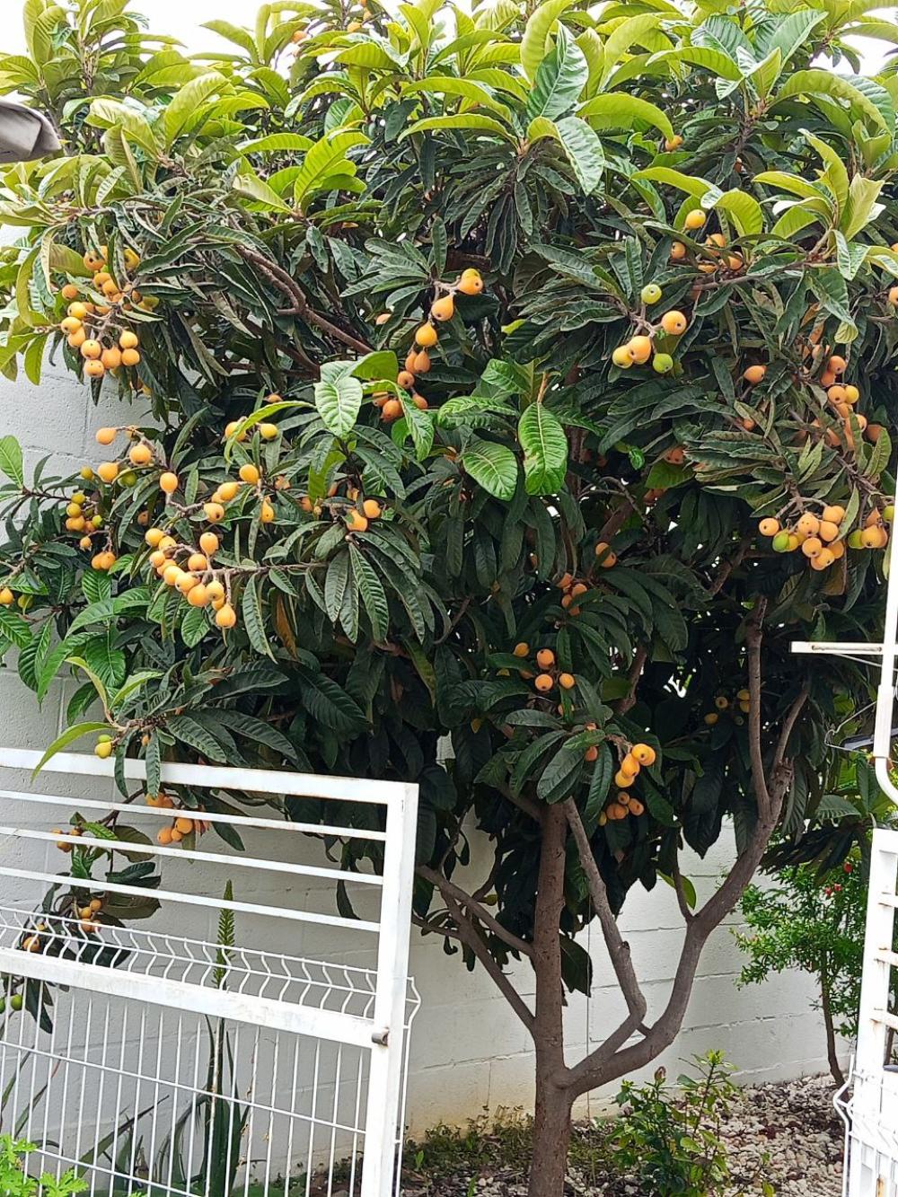  en venta chalet Bollullos De La Mitación Aljarafe 10