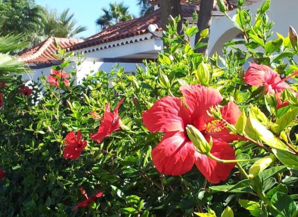  en venta pareado Maspalomas Área Sur 26