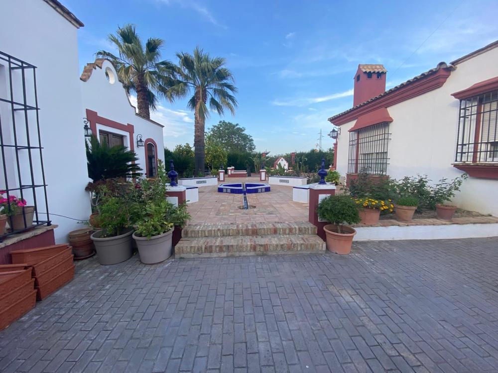  en venta chalet Palma Del Rio Valle Medio Del Guadalquivir 4