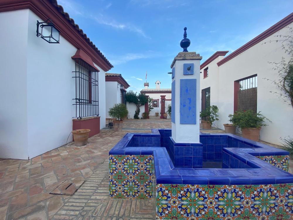  en venta chalet Palma Del Rio Valle Medio Del Guadalquivir 13