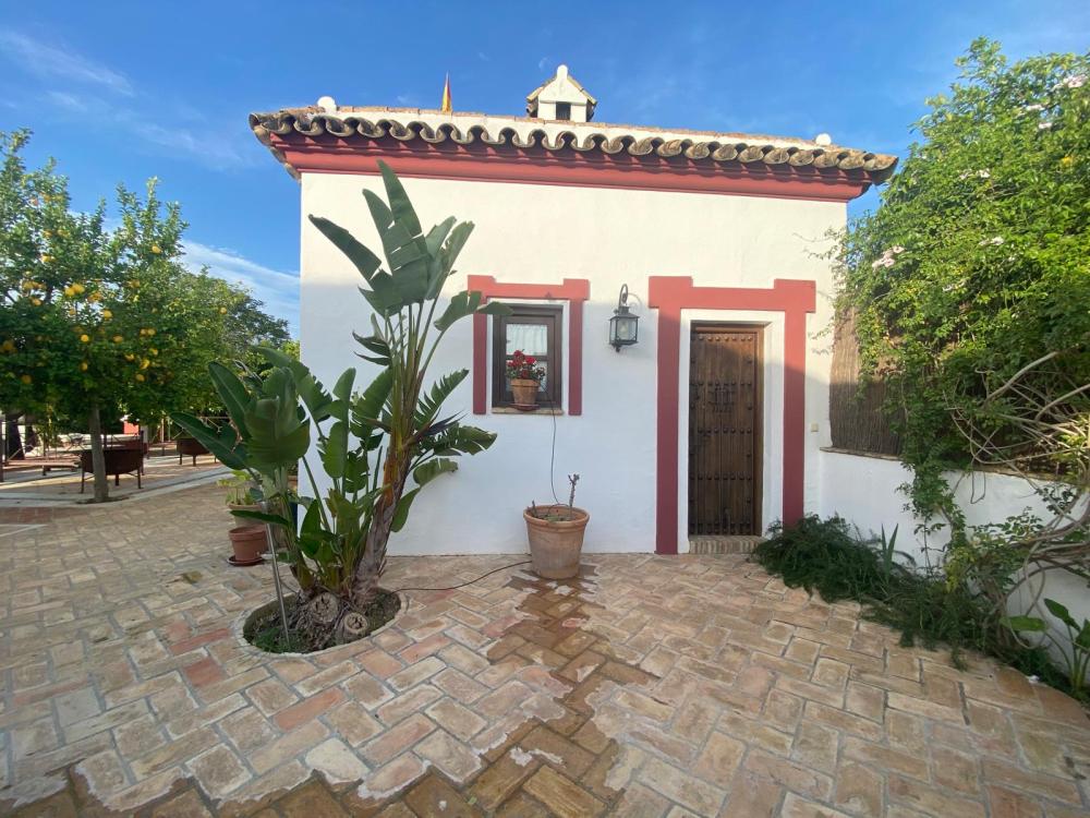  en venta chalet Palma Del Rio Valle Medio Del Guadalquivir 6