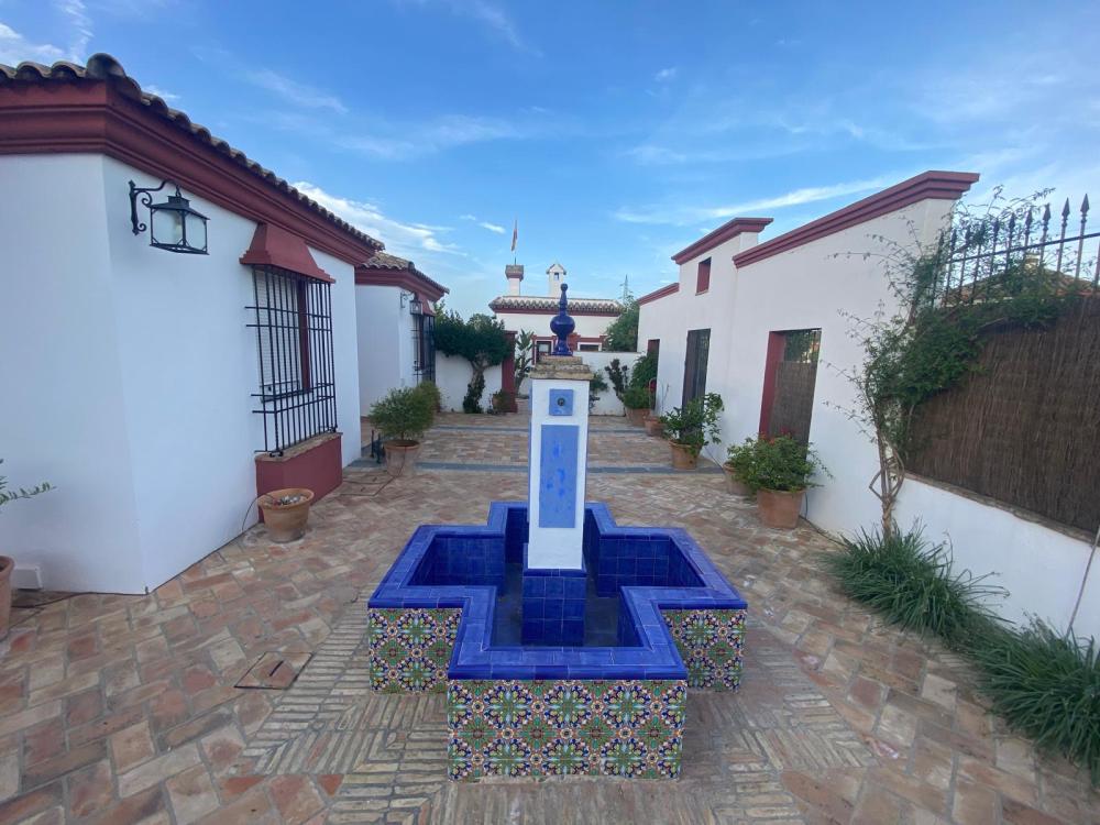  en venta chalet Palma Del Rio Valle Medio Del Guadalquivir 14