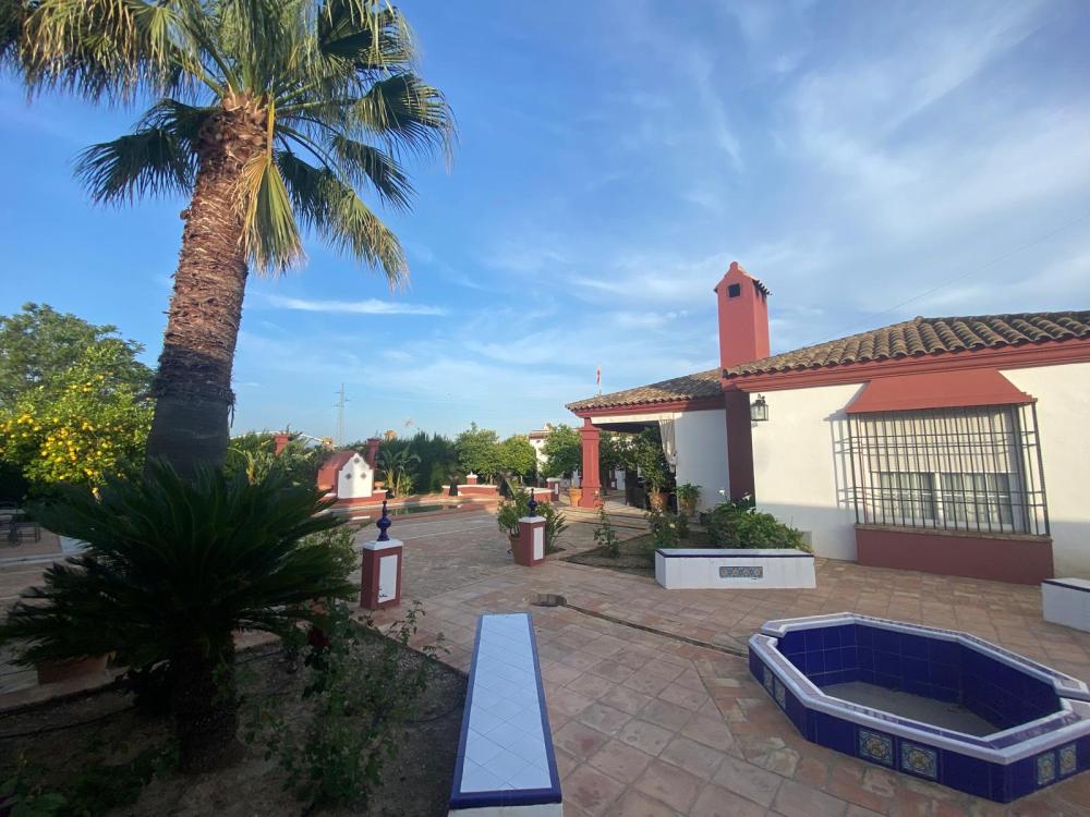  en venta chalet Palma Del Rio Valle Medio Del Guadalquivir 3