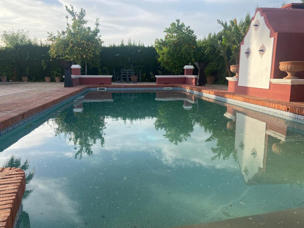  en venta chalet Palma Del Rio Valle Medio Del Guadalquivir 7