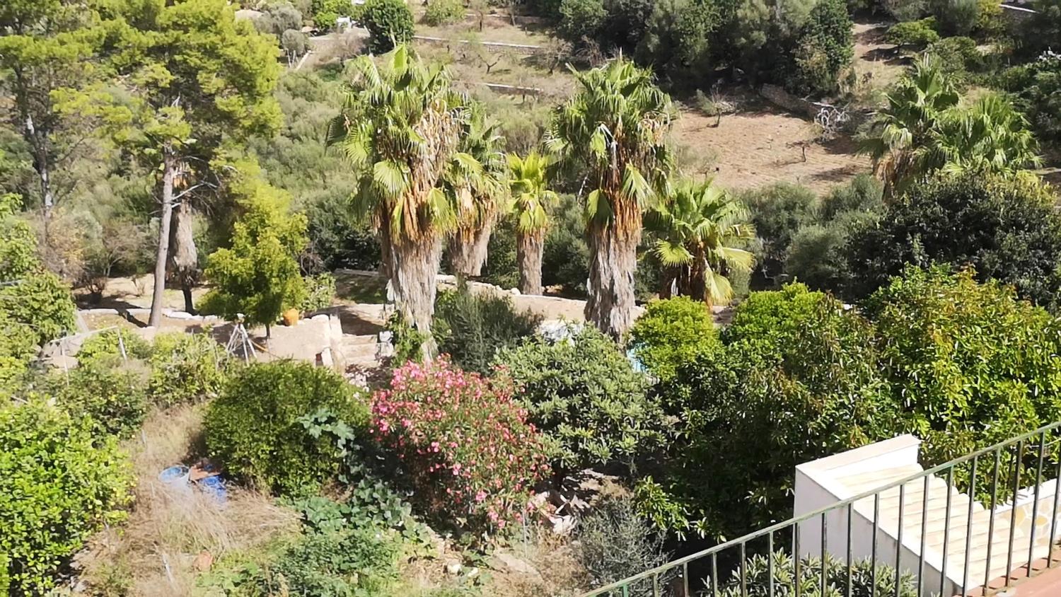  en venta casa Campanet Raiguer 15