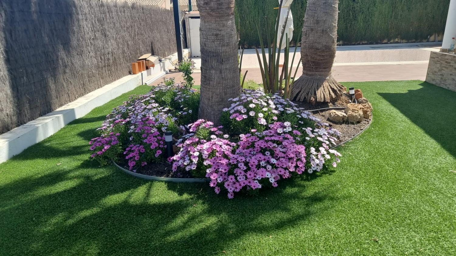  en venta casa Calasparra Noroeste 22
