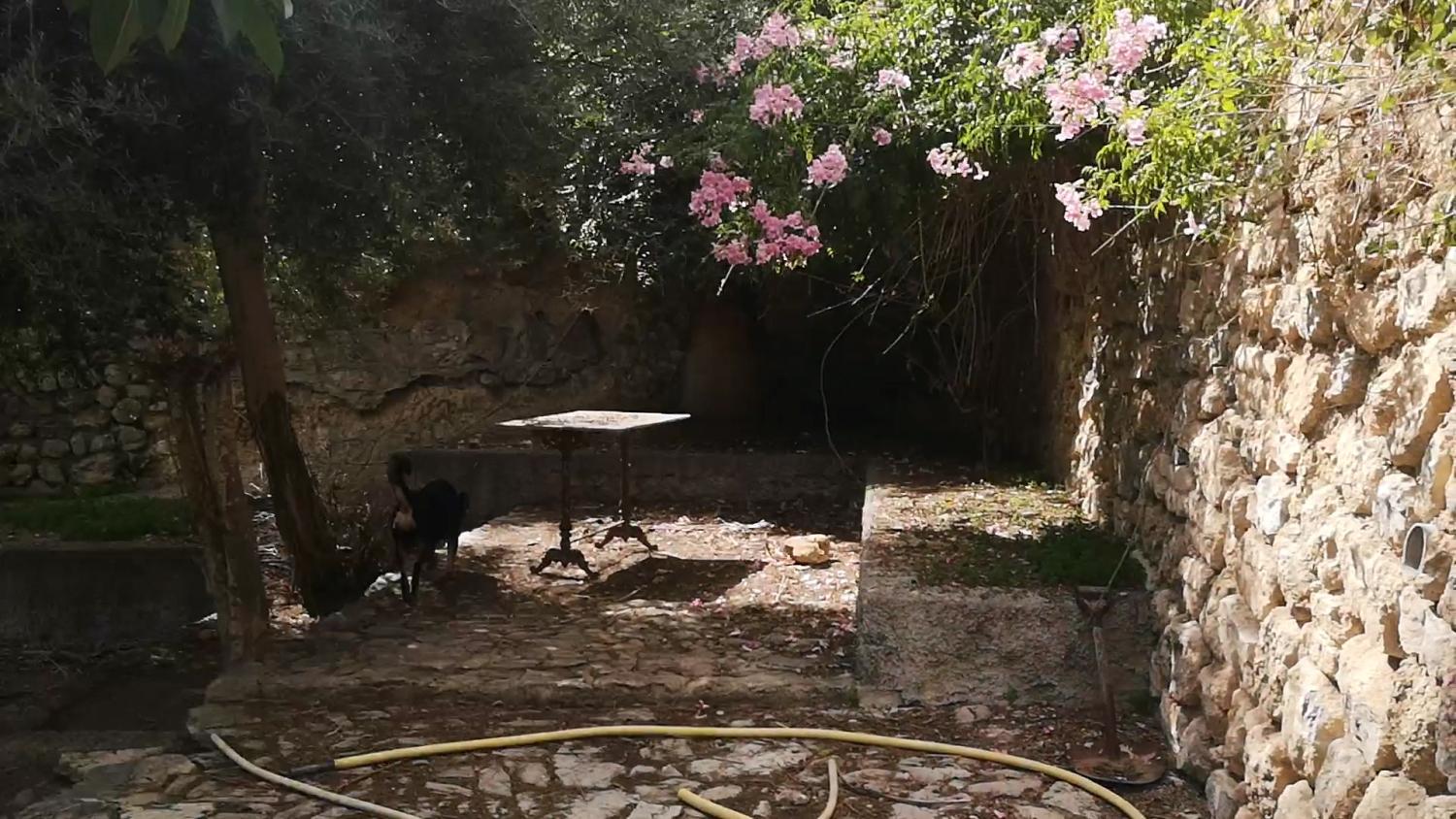  en venta casa Campanet Raiguer 34