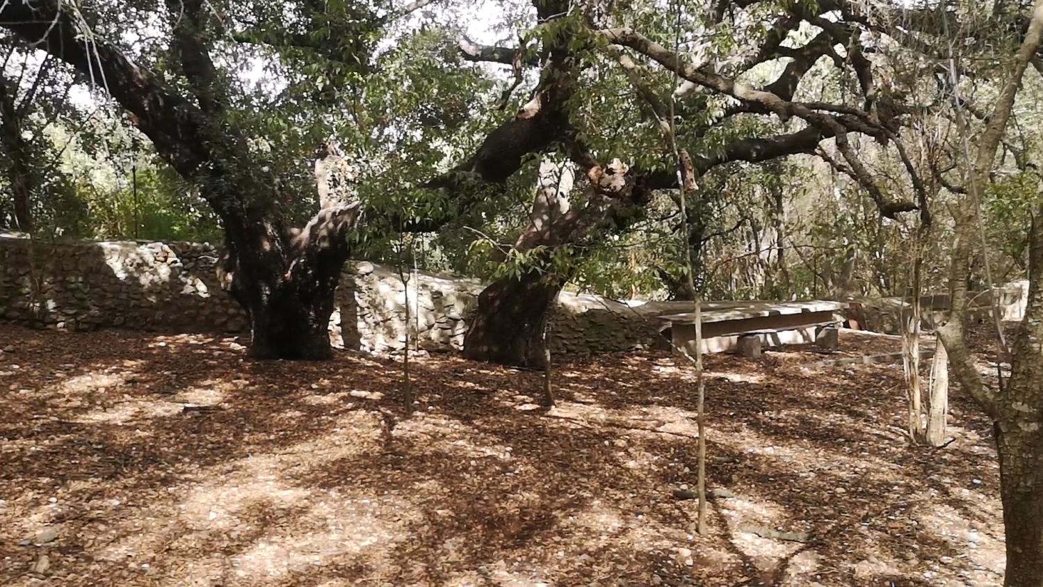 en venta casa Campanet Raiguer 23