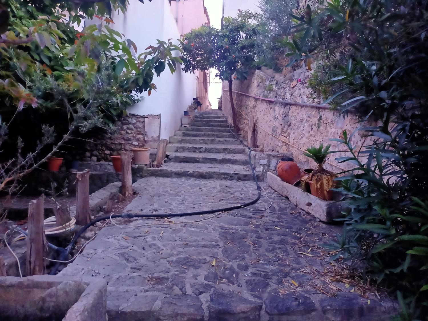  en venta casa Campanet Raiguer 17