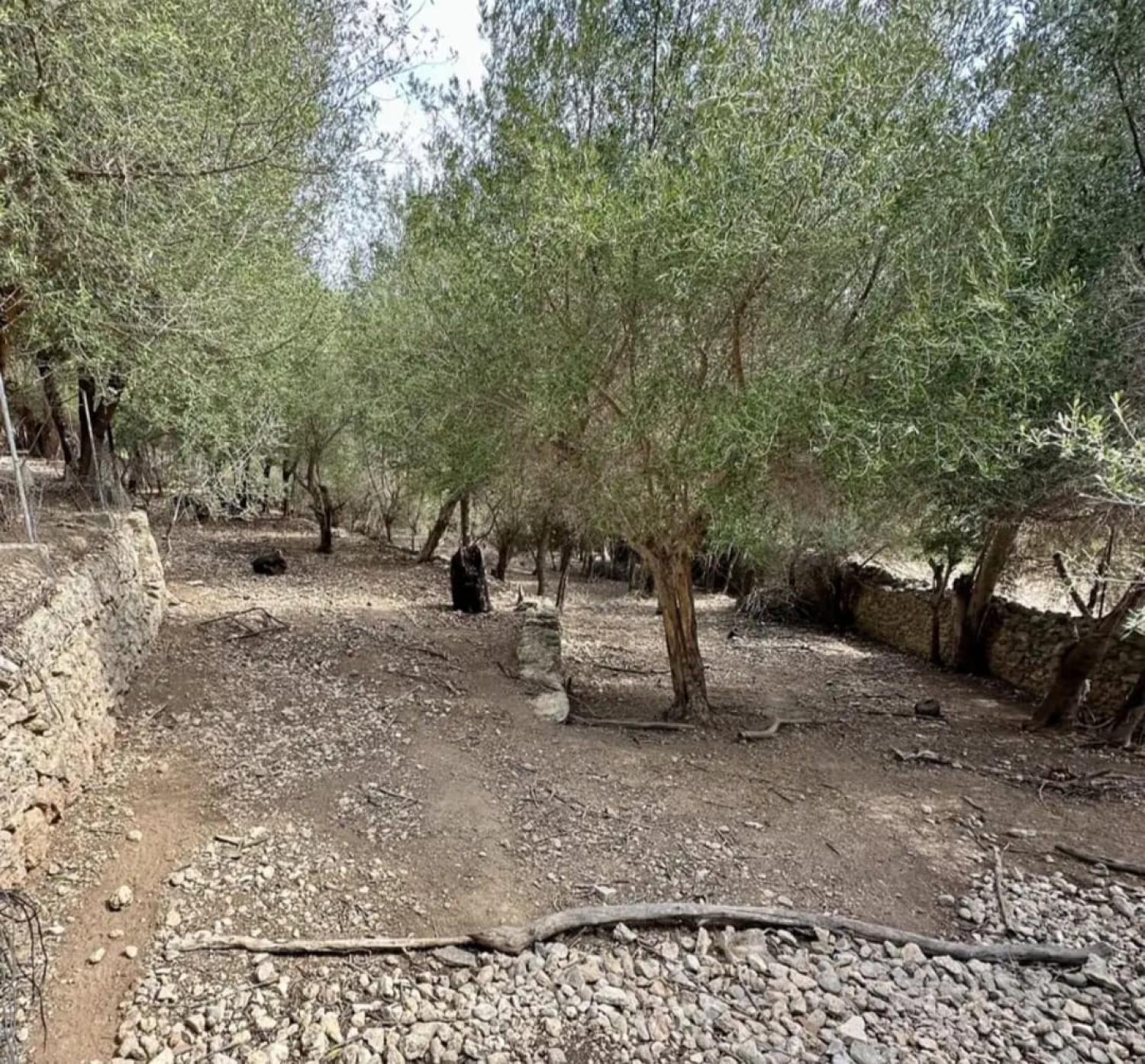  en venta casa Campanet Raiguer 41