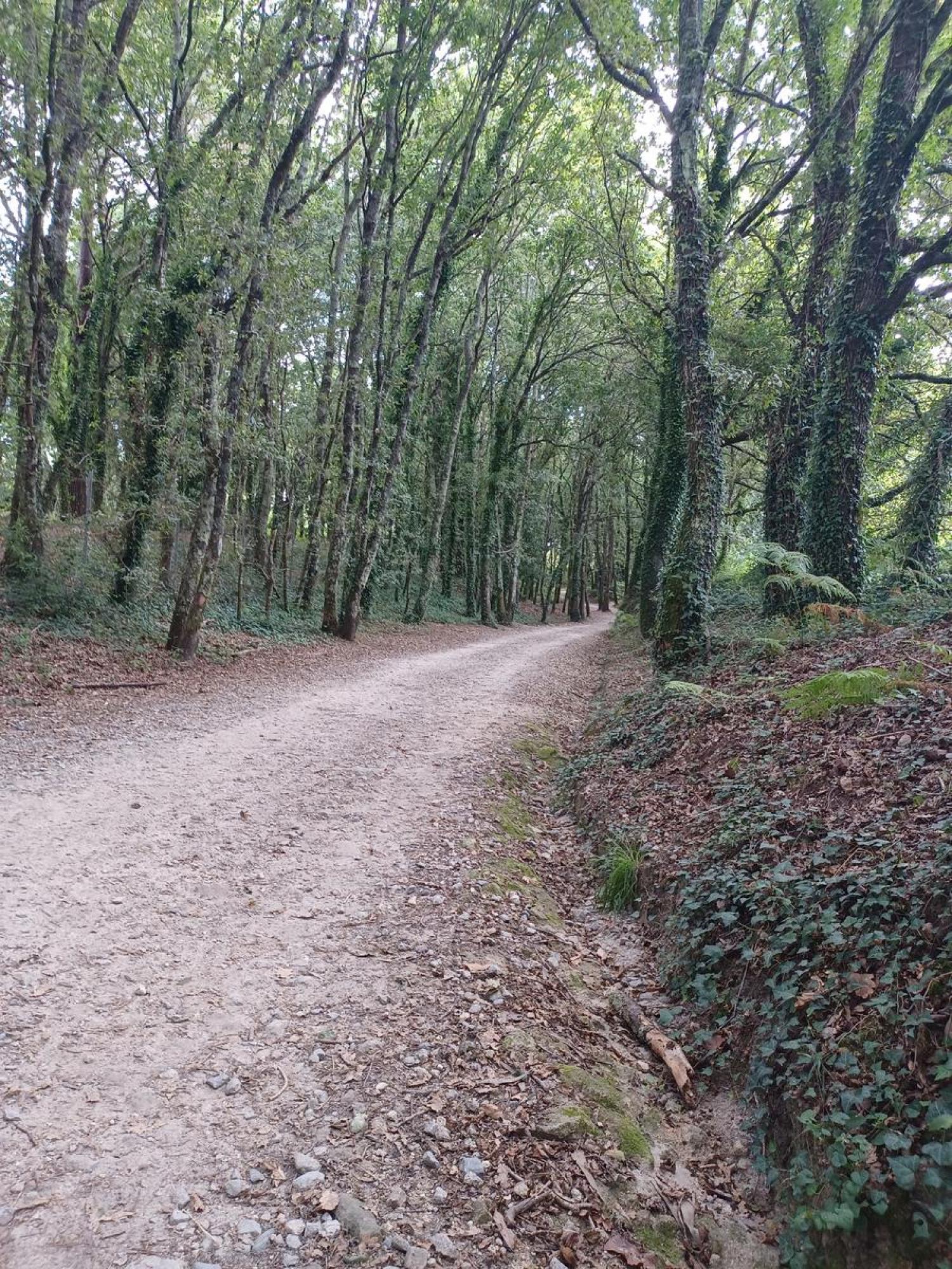  en venta terreno Raíces Santiago 6