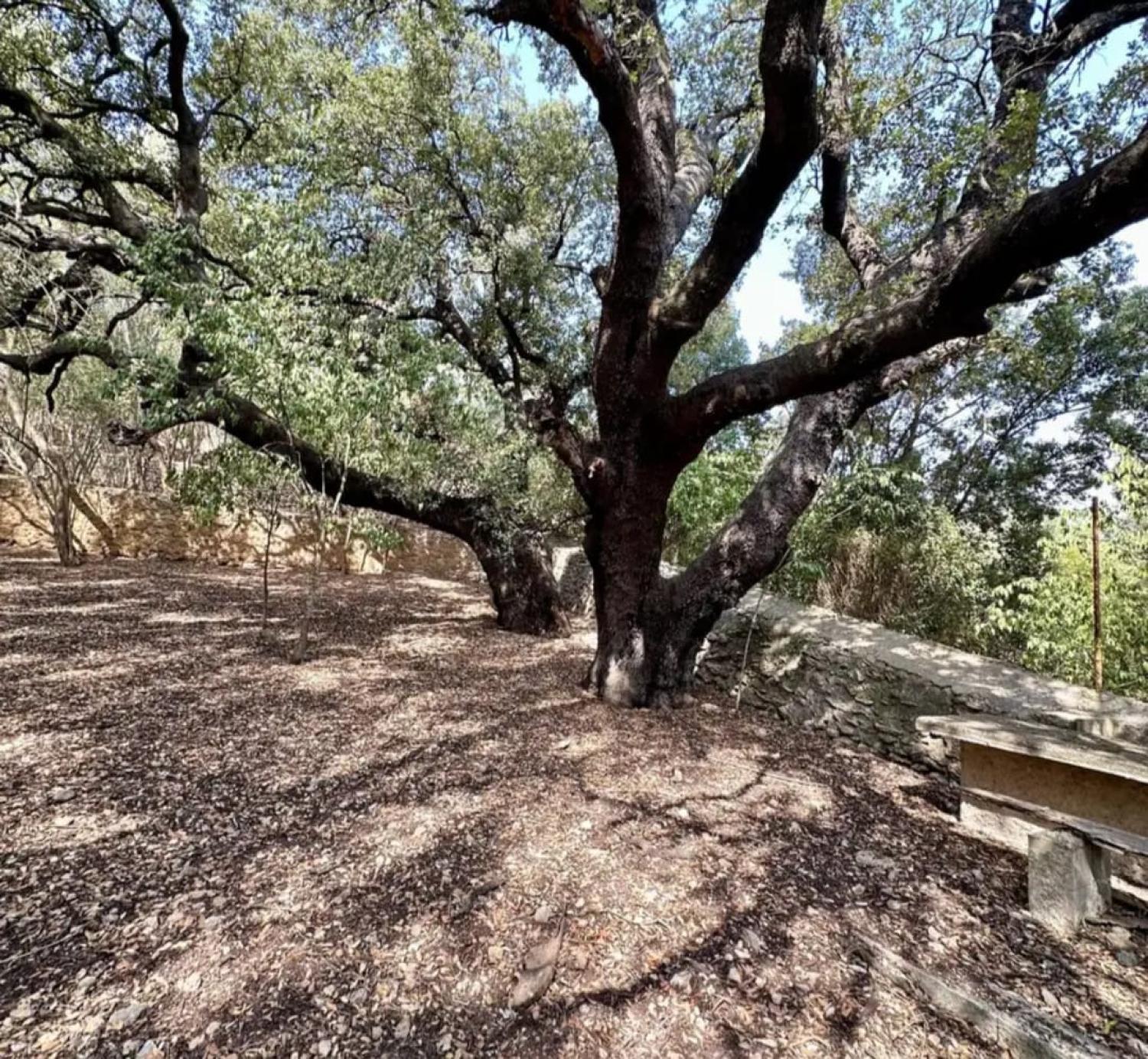  en venta casa Campanet Raiguer 43