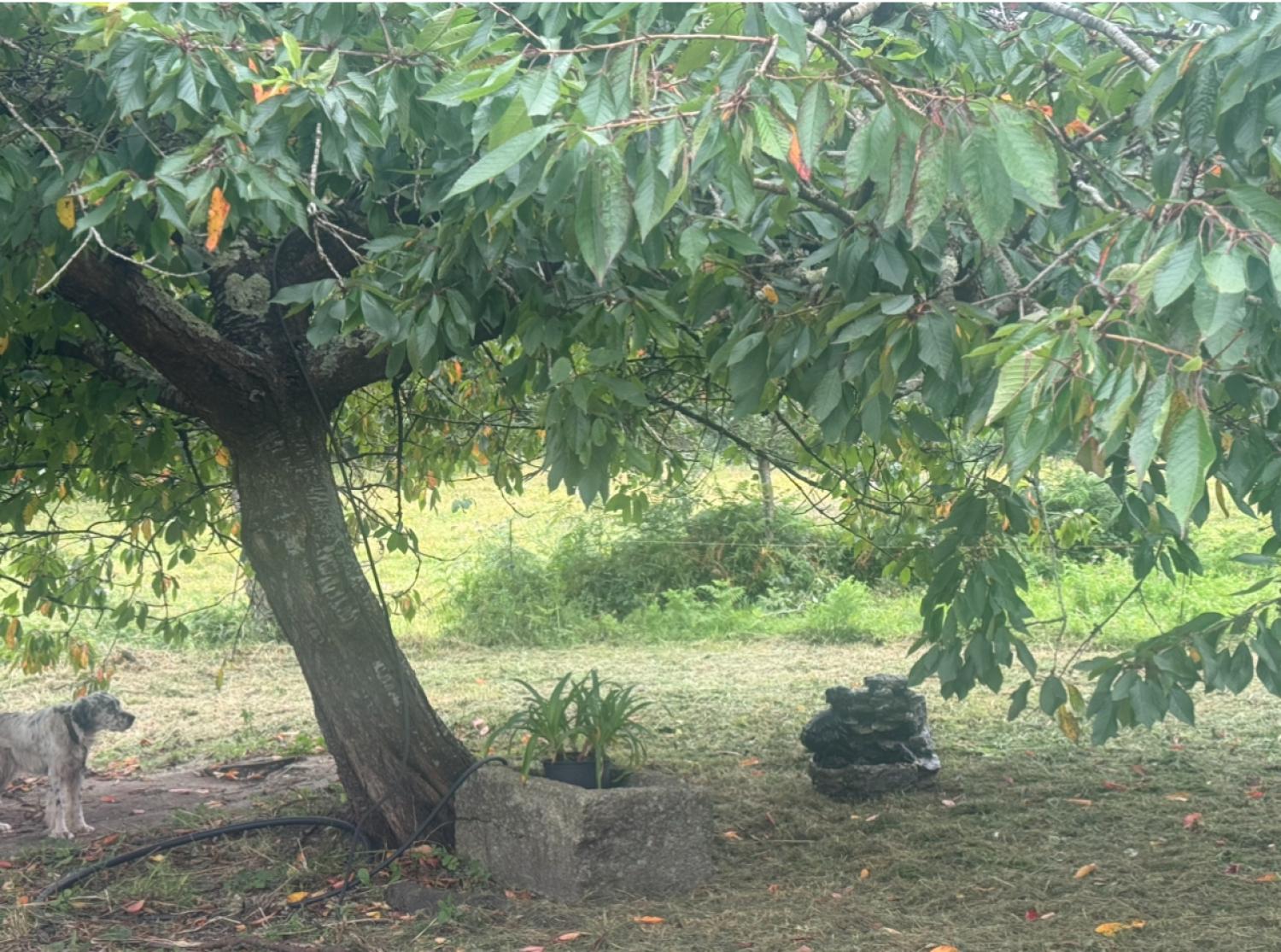  en venta casa Mondoñedo Mariña Central 38