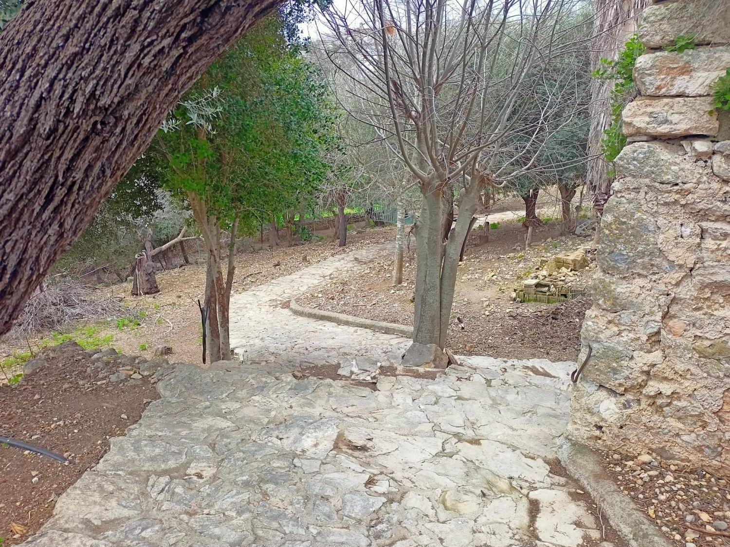  en venta casa Campanet Raiguer 38