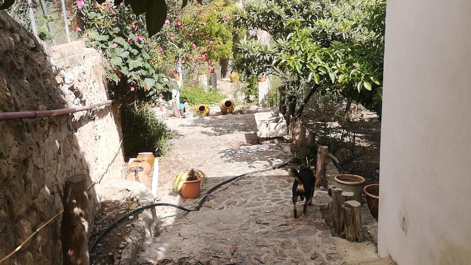  en venta casa Campanet Raiguer 9