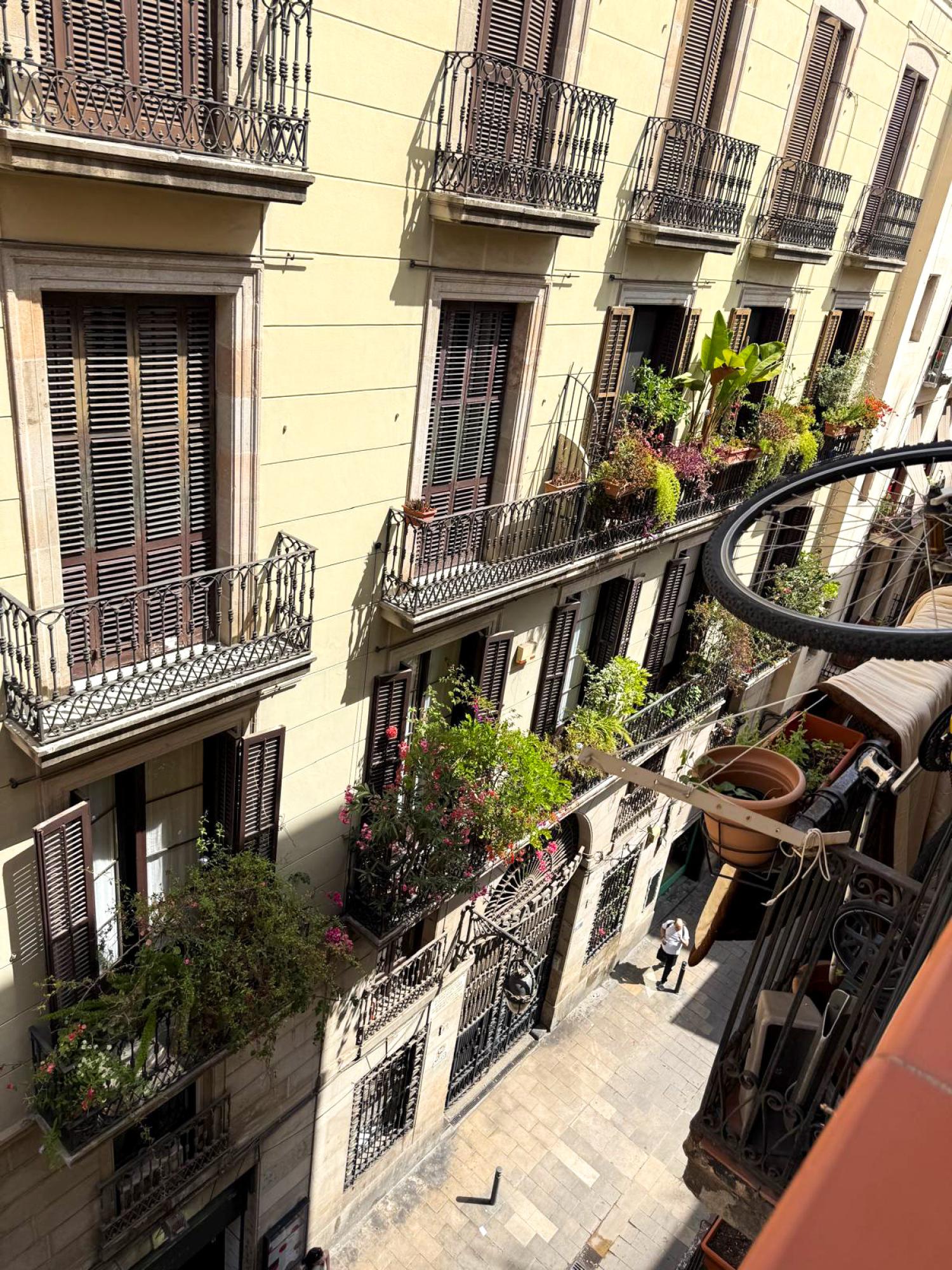  en venta apartamento Ciutat Vella-Sant Pere-Santa Caterina-El Born Barcelonès 19