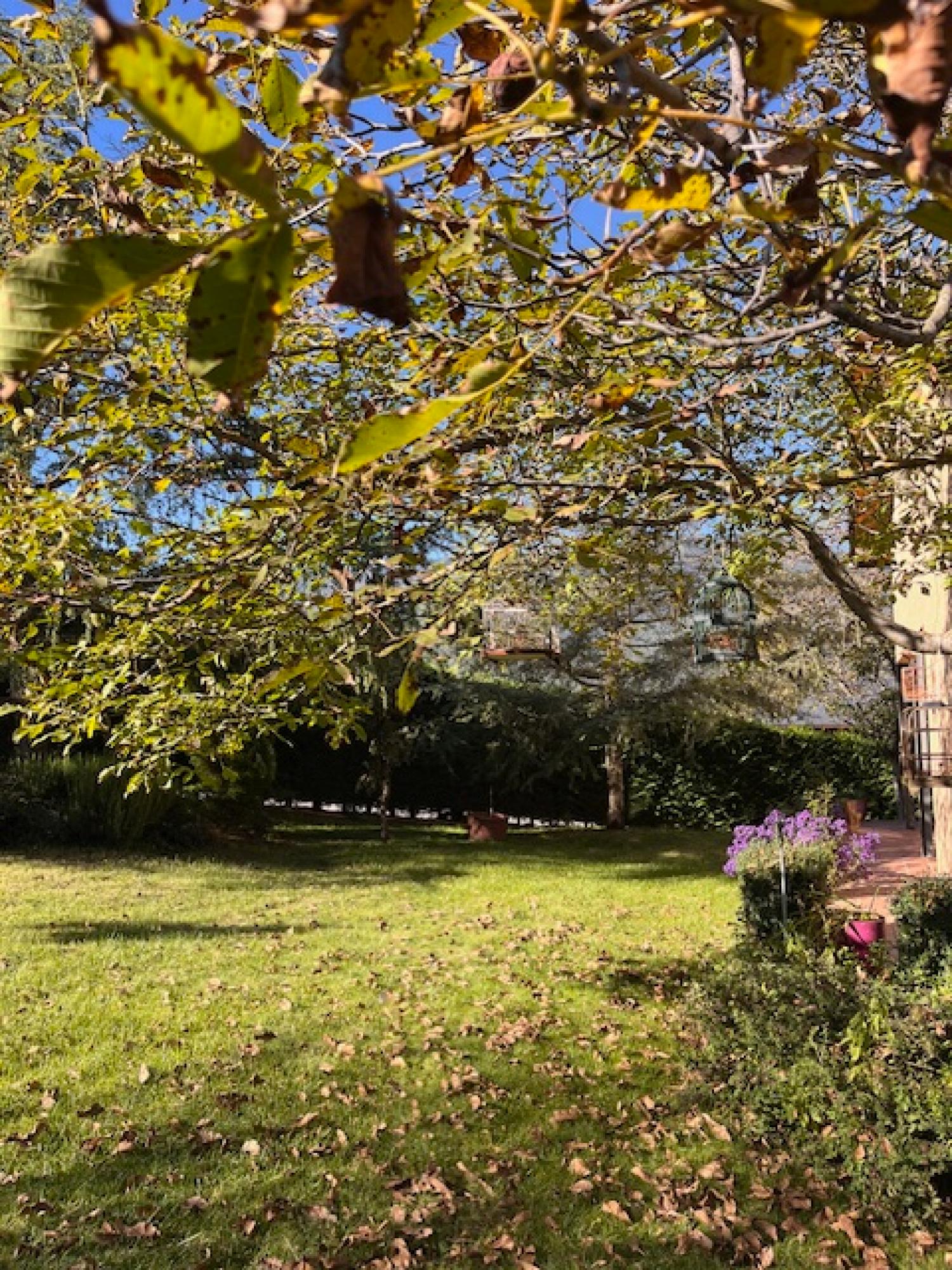  en venta finca rústica Montferrer Alt Urgell-Cerdenya 17