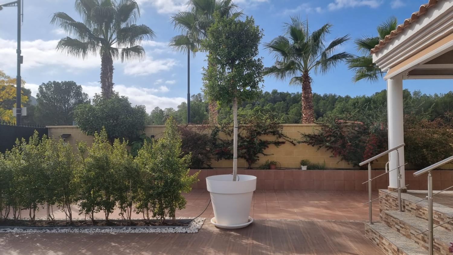  en venta casa Calasparra Noroeste 4