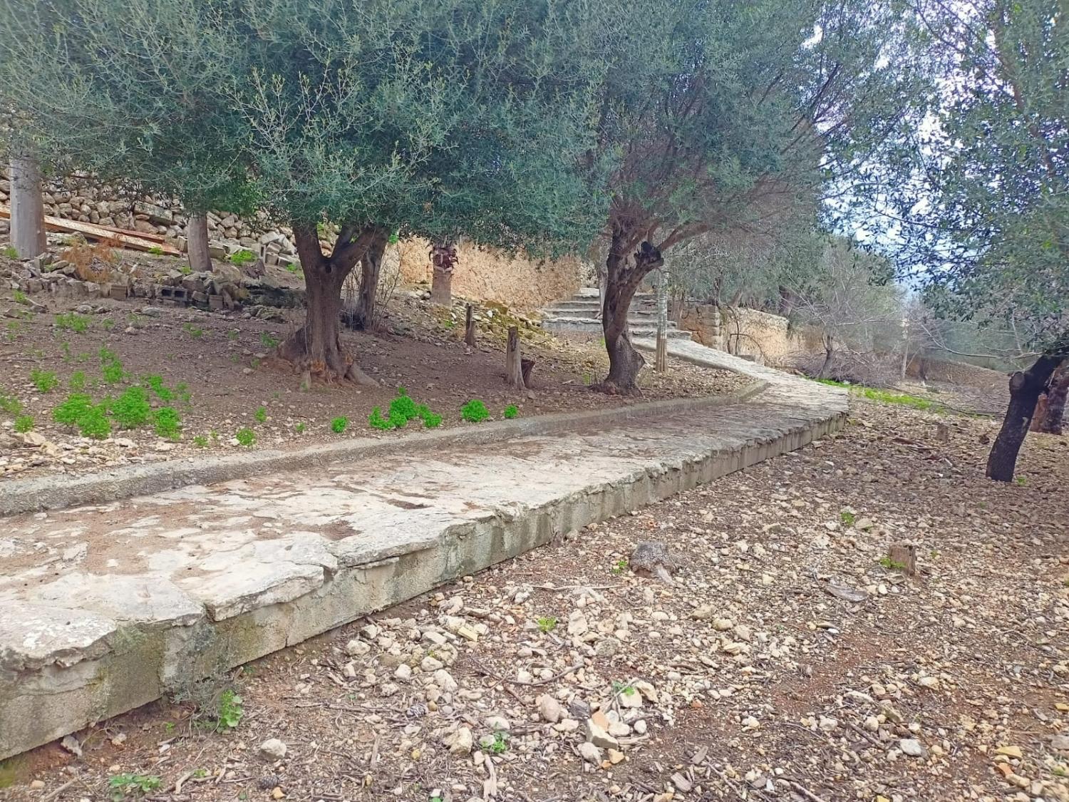  en venta casa Campanet Raiguer 39