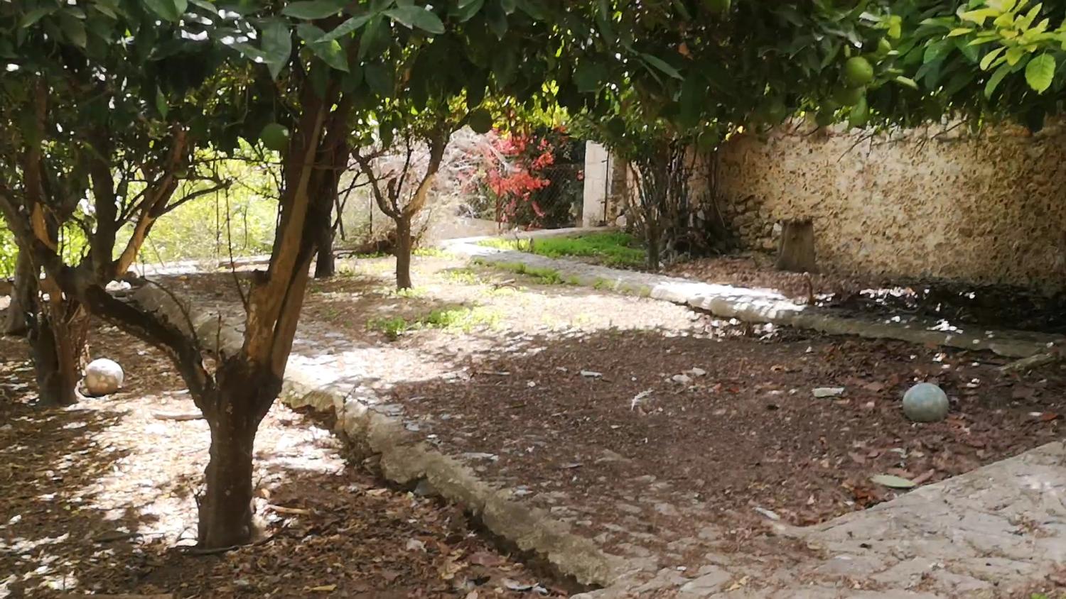  en venta casa Campanet Raiguer 16