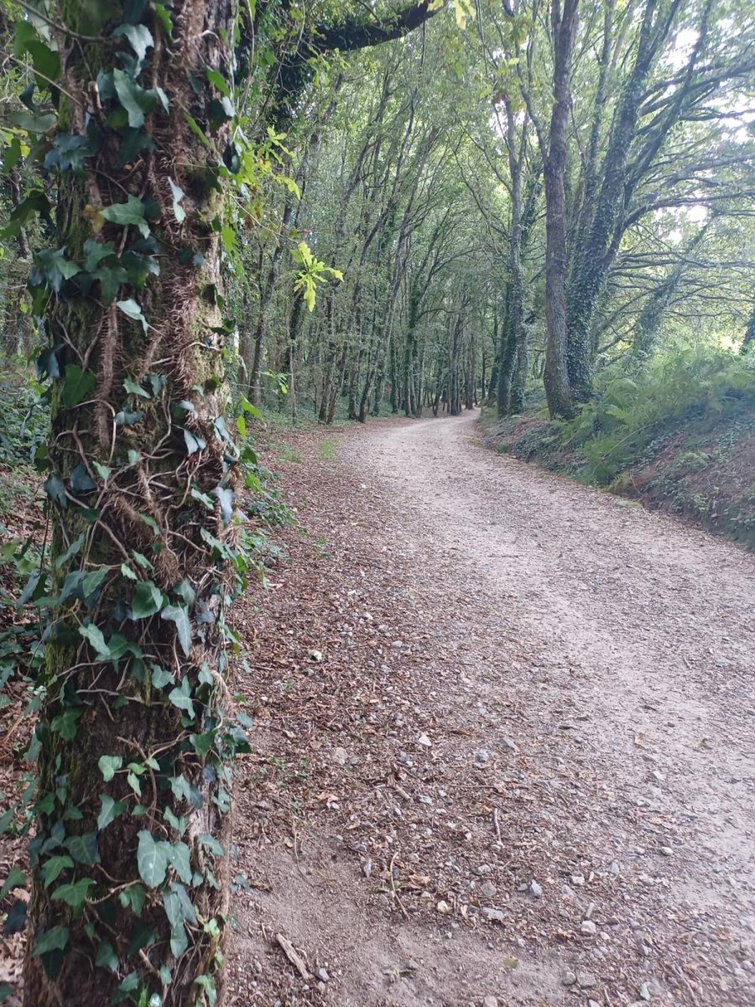  en venta terreno Raíces Santiago 11