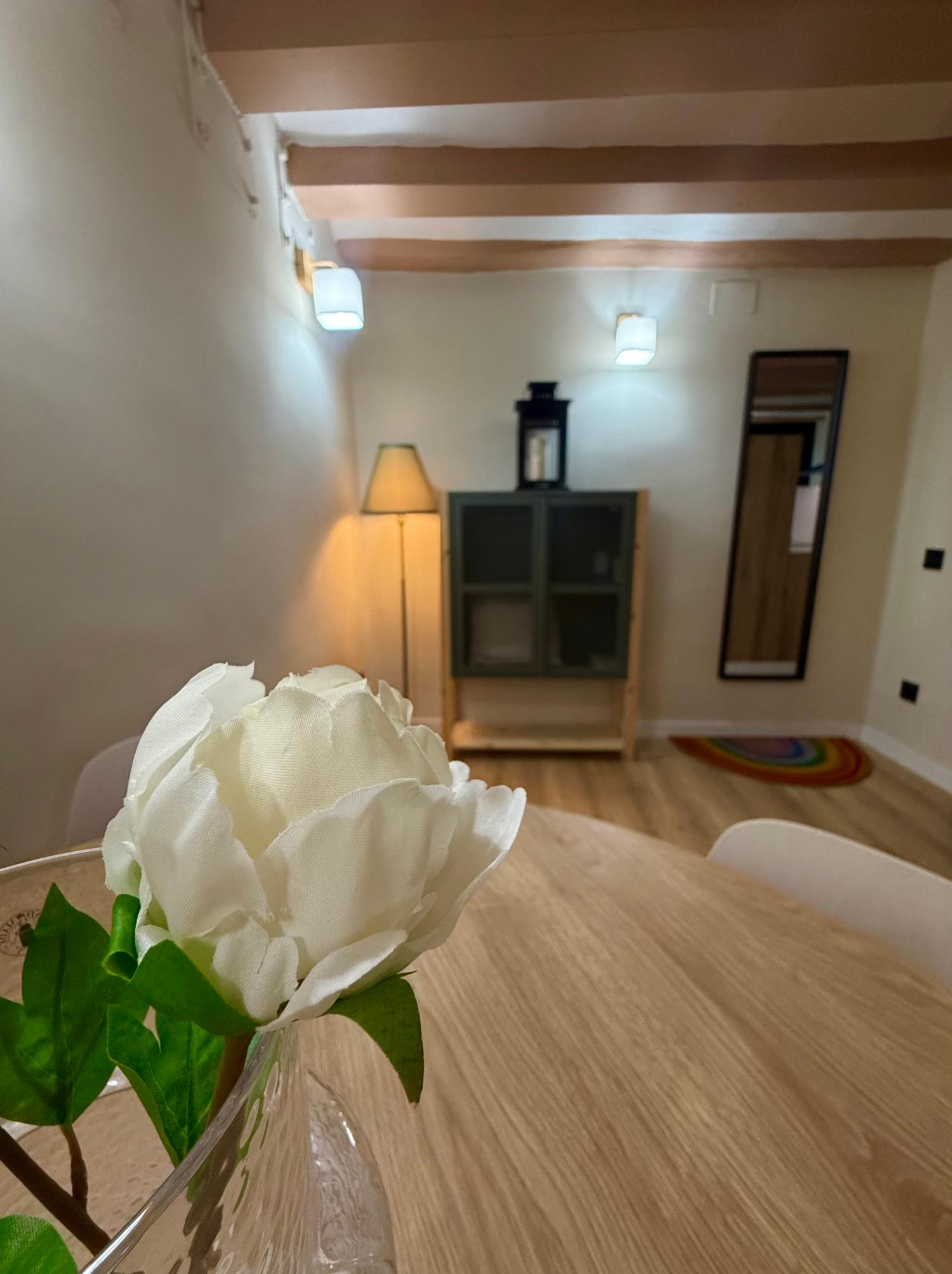  en venta apartamento Ciutat Vella-Sant Pere-Santa Caterina-El Born Barcelonès 16