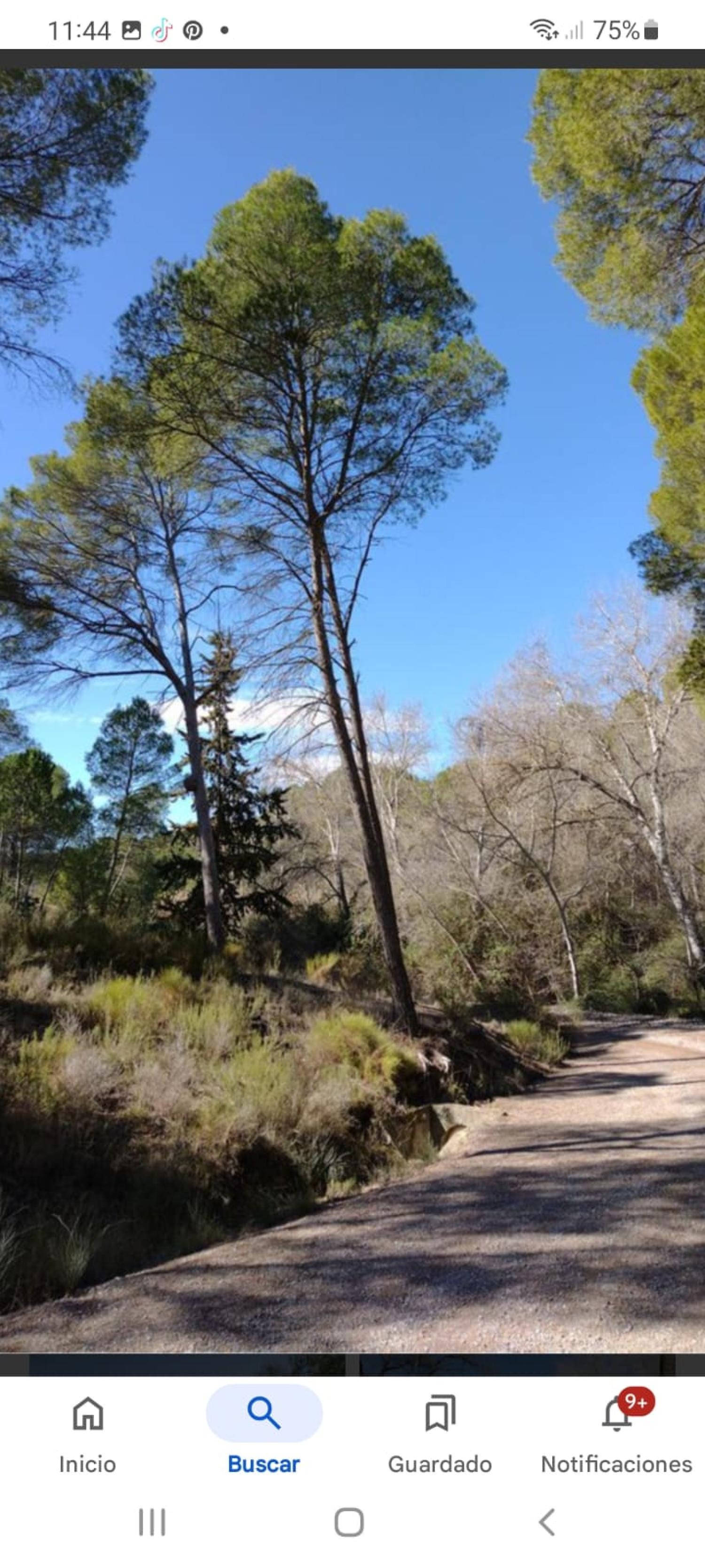  en venta casa Calasparra Noroeste 16