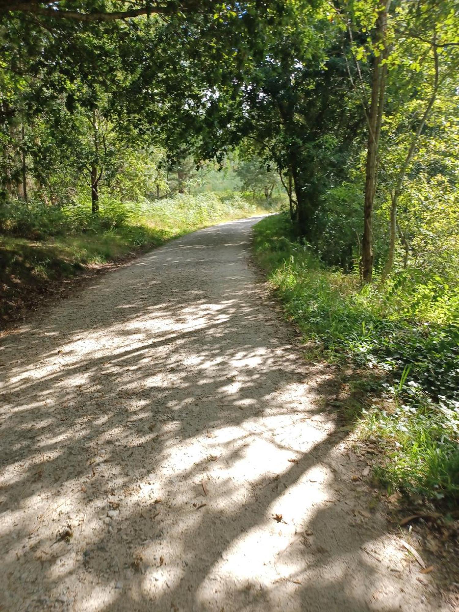  en venta terreno Raíces Santiago 13