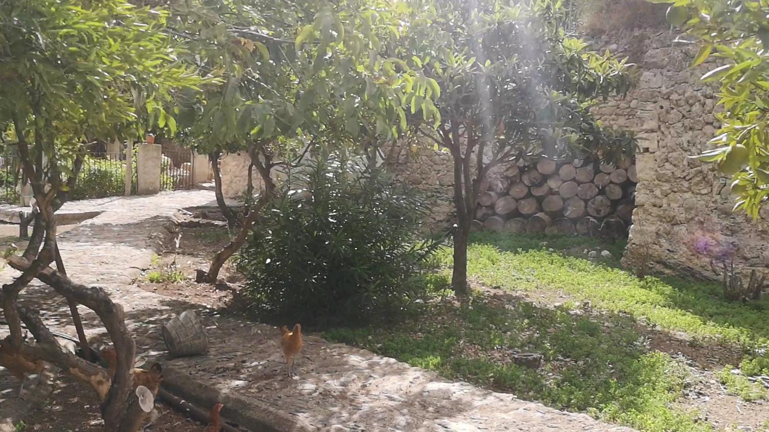  en venta casa Campanet Raiguer 19