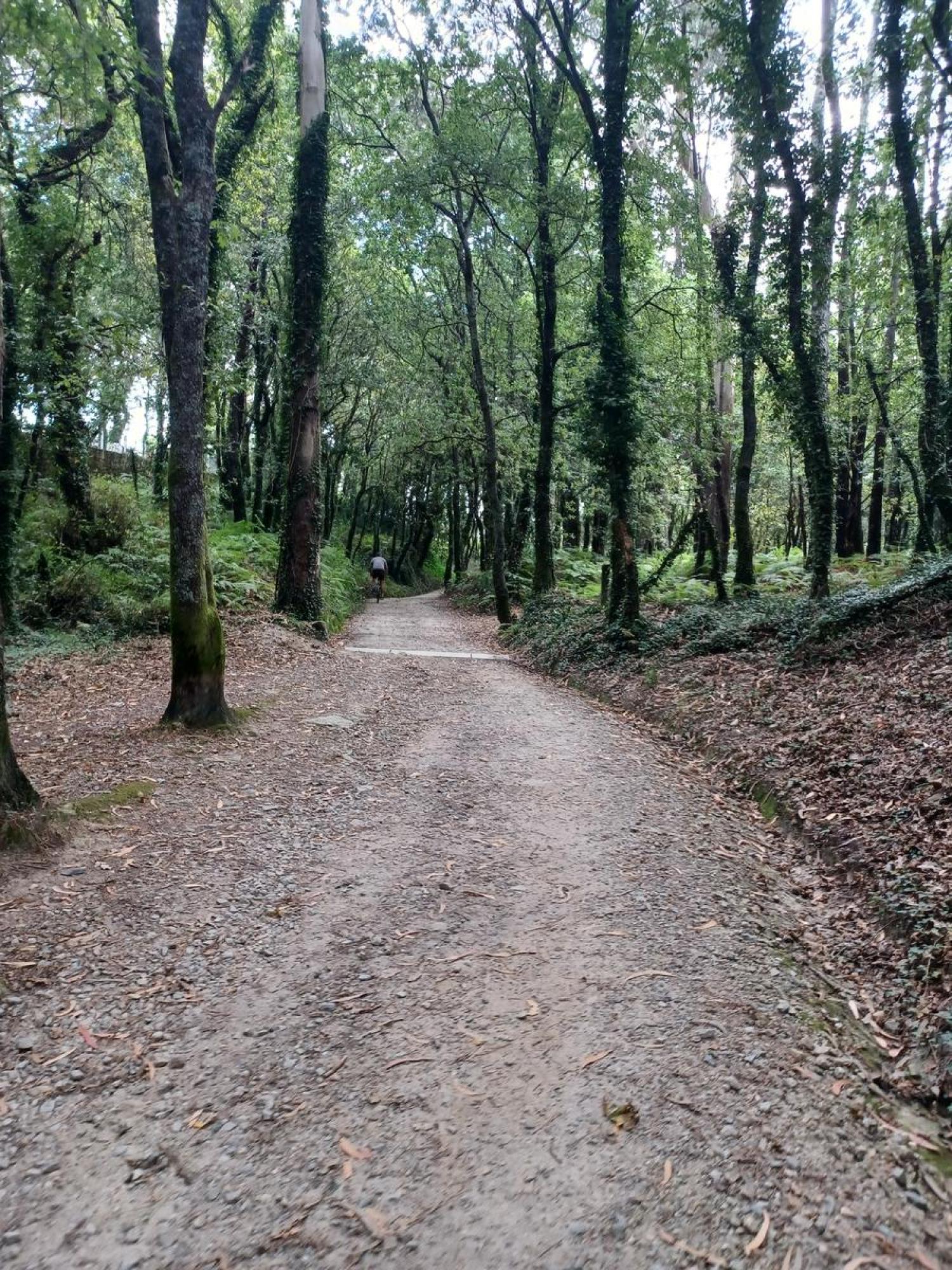  en venta terreno Raíces Santiago 4