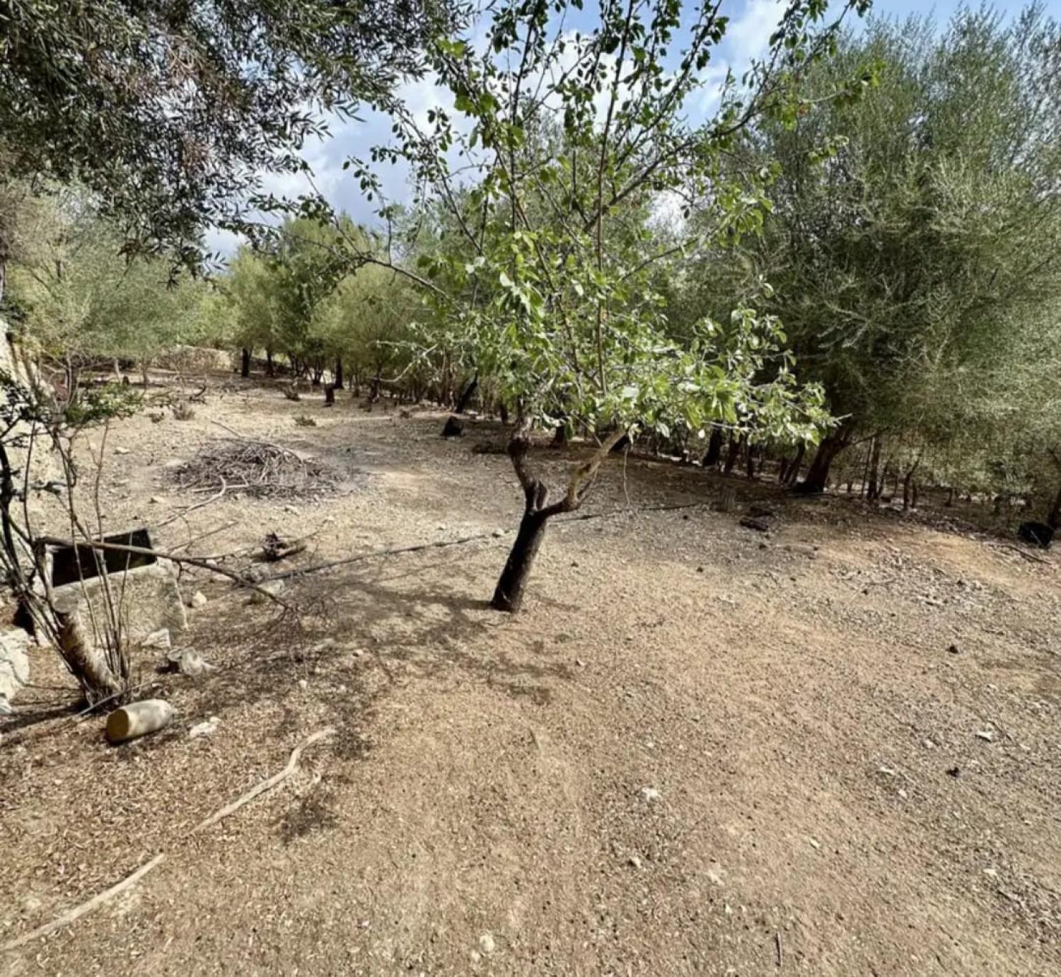  en venta casa Campanet Raiguer 42