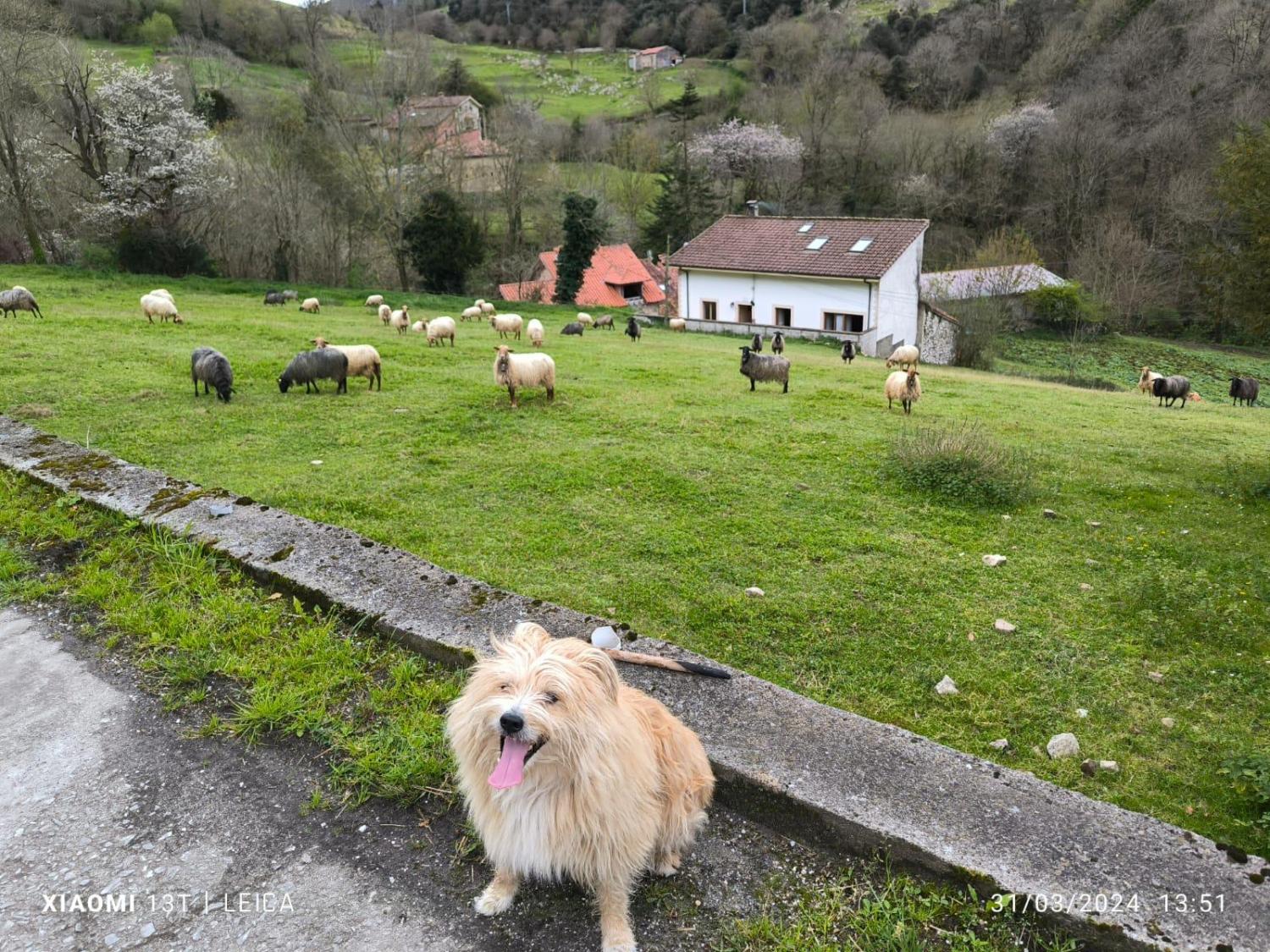  en venta casa de pueblo Arangas Oriente 48