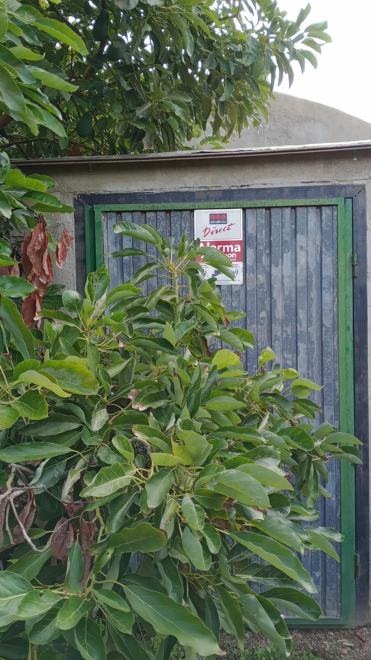  en venta casa de pueblo Puntalón Costa Tropical 11