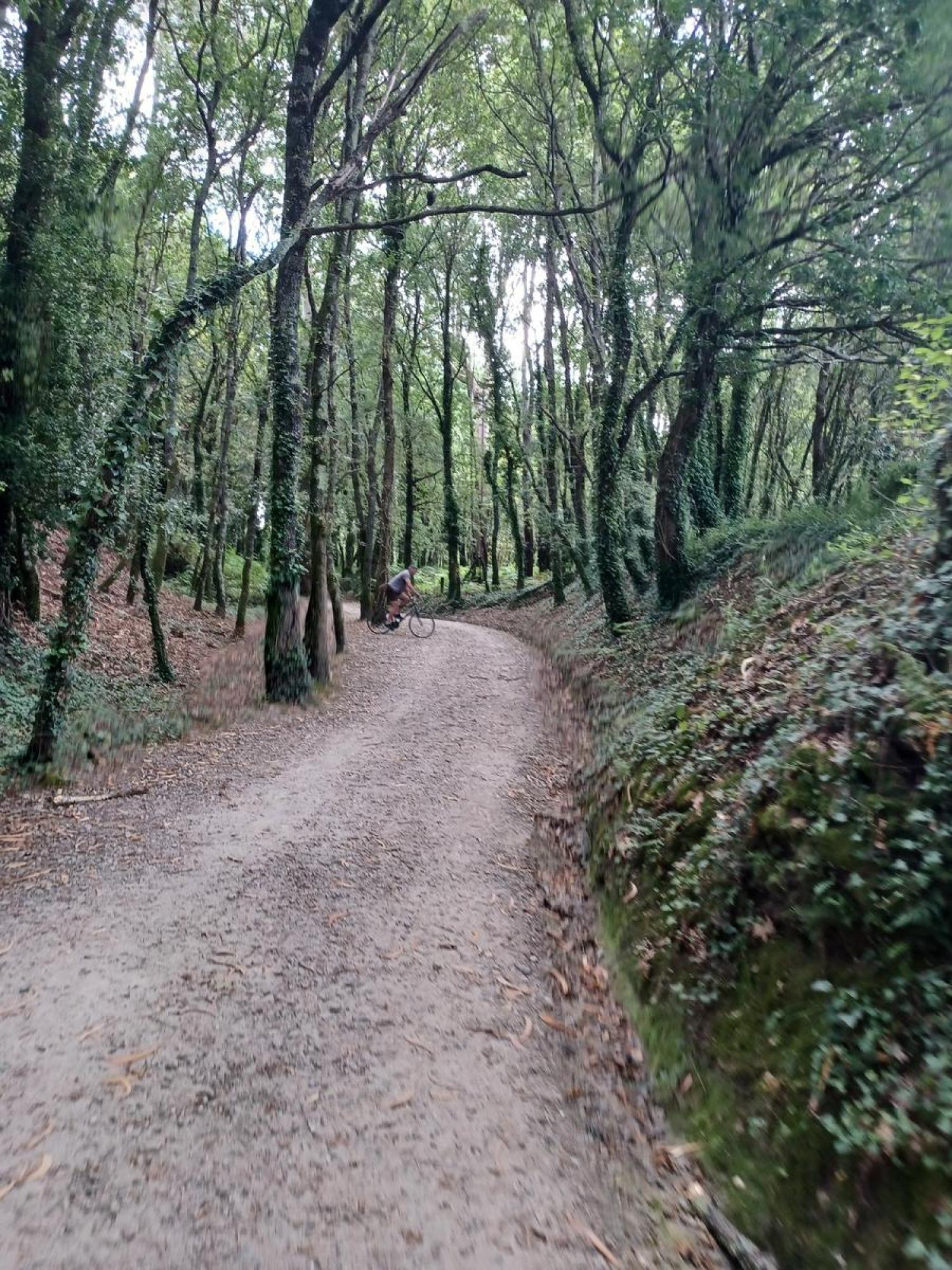  en venta terreno Raíces Santiago 32