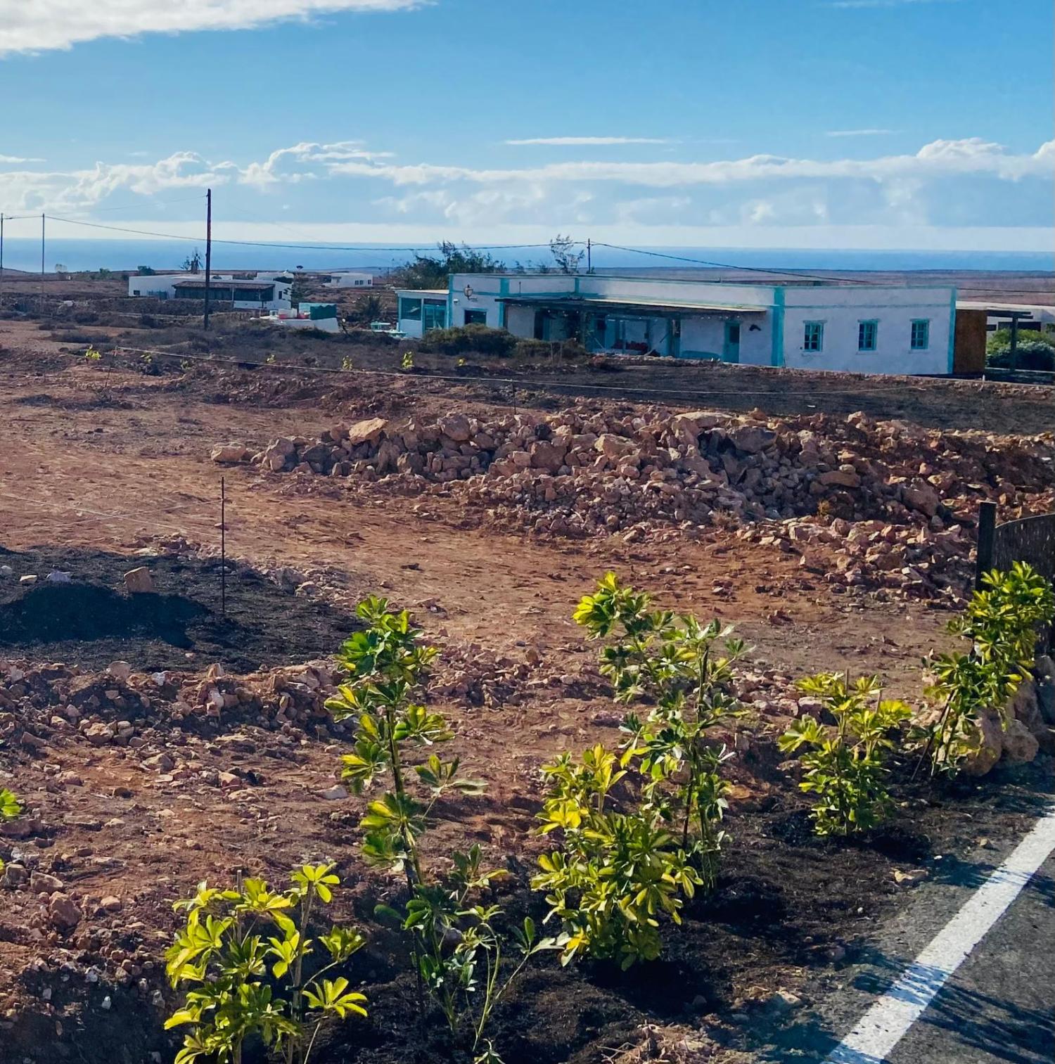  en venta terreno Tindaya Oliva (La) 7