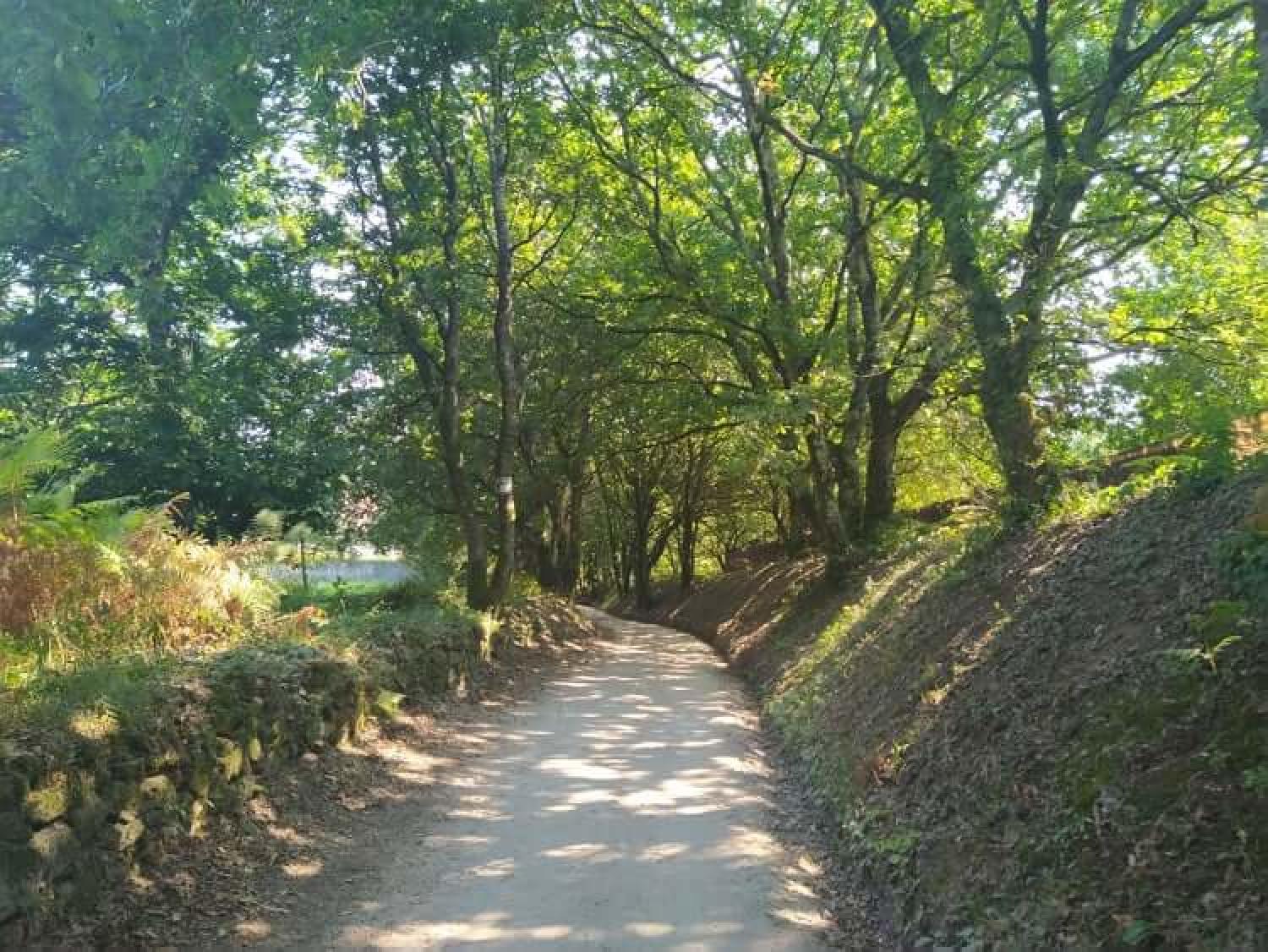  en venta terreno Raíces Santiago 27