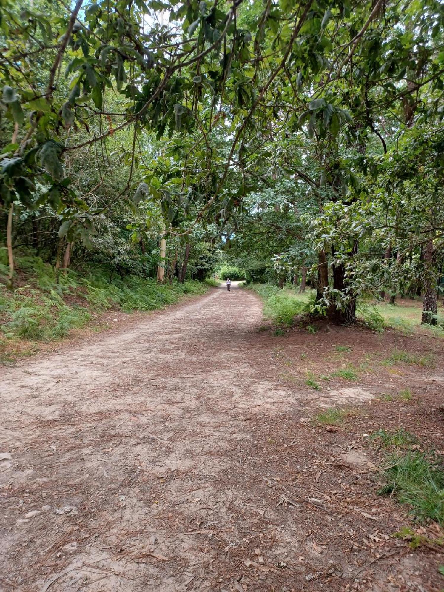  en venta terreno Raíces Santiago 20