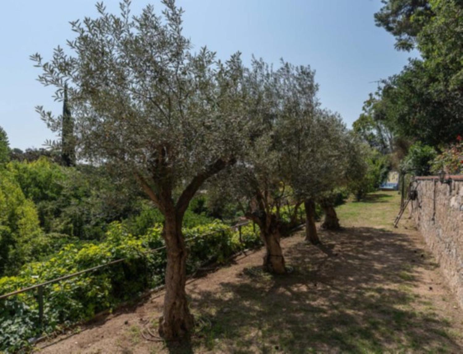  en venta mansion Nucli Antic Maresme 41